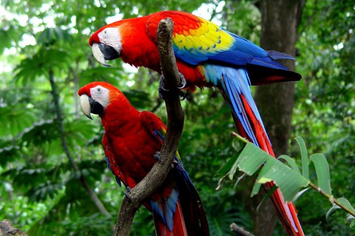 Länderbild Costa-rica